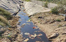 你对HJACDF海角论坛网页渗滤液还存在怎样的误区？